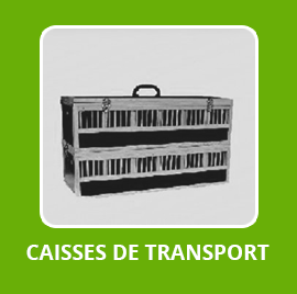 Caisses De Transport Caisse Transport Volaille